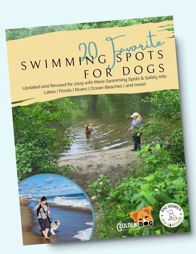 2025 20 Favorite Swimming Spots - cover (1)