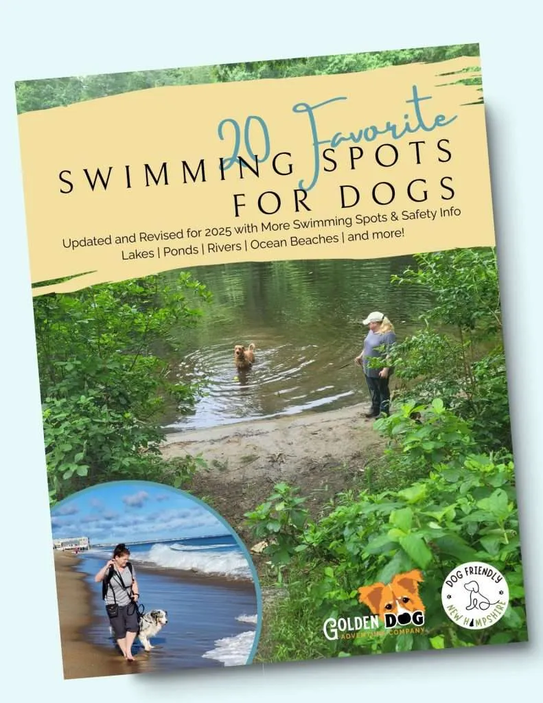 2025 20 Favorite Swimming Spots - cover (1)