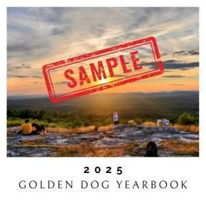 Golden Dog Yearbook 2025
