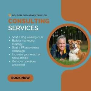 1 Hour Consult with Traci