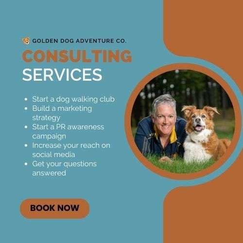 1 Hour Consult with Traci