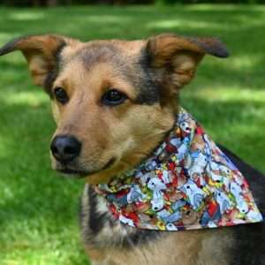 Dog Bandannas