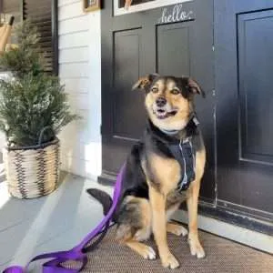 Eevee Lee