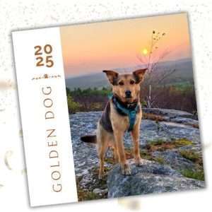 Golden Dog Yearbook 2025 - Downloadable PDF Format
