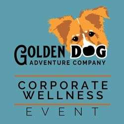 Corporate Wellness Event - 5 Weeks to Fit with Fido
