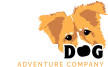 Golden Dog Adventure Company Logo