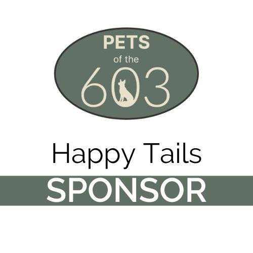 Happy Tails Sponsor (10 available)