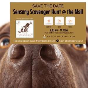 SPECIAL EVENT: Sensory Scavenger Hunt @ the Mall
