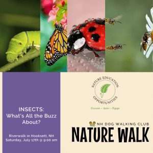 July Nature Walk w/Kelly Dwyer of Nature Education Opportunities