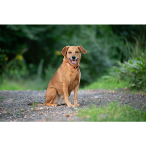 Maggie