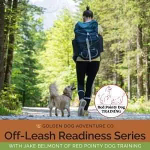Off-Leash Readiness Clinic 2026 - Balance Due