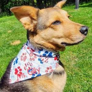 2024 Summer Doggy Olympics Bandana