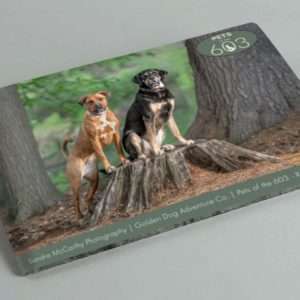 Pets of the 603 Photo Art Book