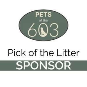 Pick of the Litter Sponsor (3 available)