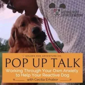 Working Through Your Own Anxiety to Help Your Reactive Dog with Cecilia Erhabor (Video)