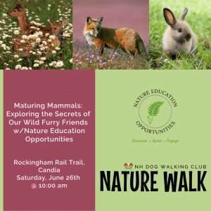 June Nature Walk w/Kelly Dwyer of Nature Education Opportunities