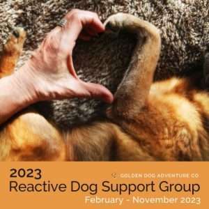 2023 Reactive Dog Support Group