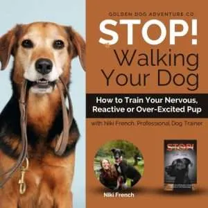 STOP! Walking Your Dog with Niki French (Video)