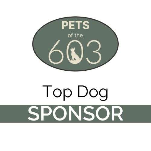 Top Dog Sponsor (3 available)