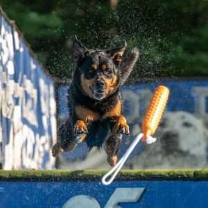 Whiskey Hurley
