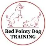 Red Pointy Dog Training