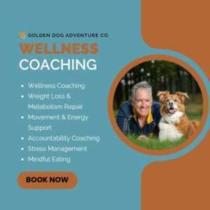 12-Week Wellness Coaching